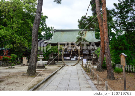 今宮神社　茅の輪（茅の輪くぐり） 130719762