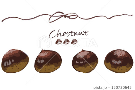 秋にぴったり！手描き風の栗のイラスト 130720643