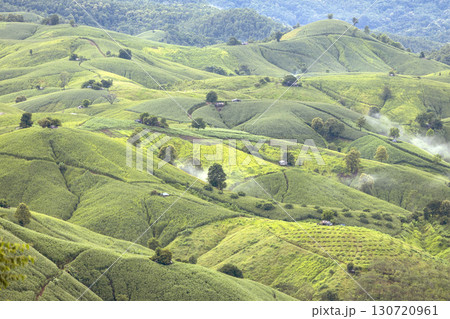 Landscape of Morning Mist with Mountain Layer. mountain ridge and clouds in rural jungle bush forest 130720961