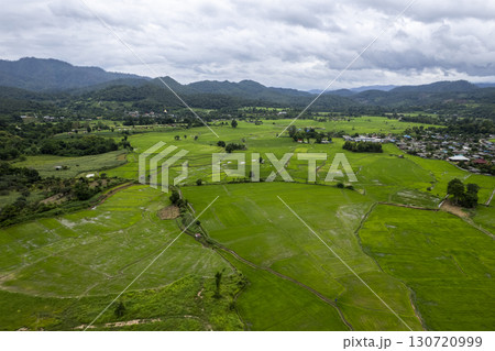 Rice Field of Farmer and sun in the morning,in Thailand 130720999