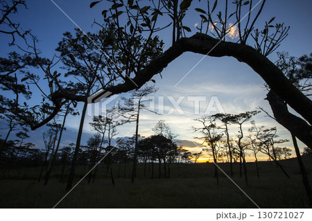 Landscape of Morning Mist with Mountain Layer at north of Thailand. mountain ridge and clouds in rural jungle bush forest 130721027