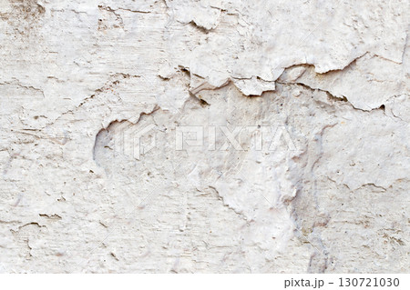 Light Gray Stucco Wall Texture. Abstract Background 130721030