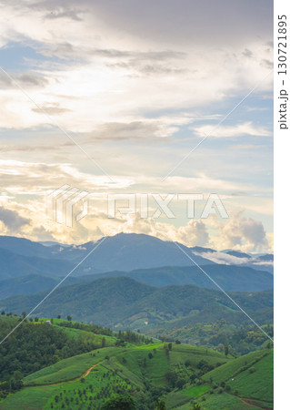 ecology travel with camping outdoor relax in rice field at chiangmai thailand in raining season ecology travel with camping outdoor relax in rice field at chiangmai thailand in raining season 130721895