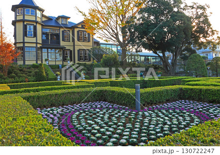 葉牡丹がたくさん植えられたイタリア山庭園と外交官の家 葉牡丹がたくさん植えられたイタリア山庭園と外交官の家 130722247