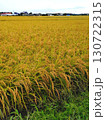 黄金色の稲穂 130722315