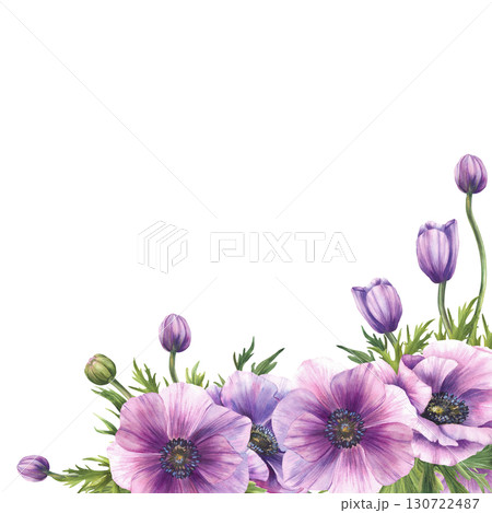 Anemones flowers with purple buds, green, leaves and long stem corner frame. Watercolor Realistic greenery floral template for wedding, greeting card. Hand drawn isolated from background illustration 130722487