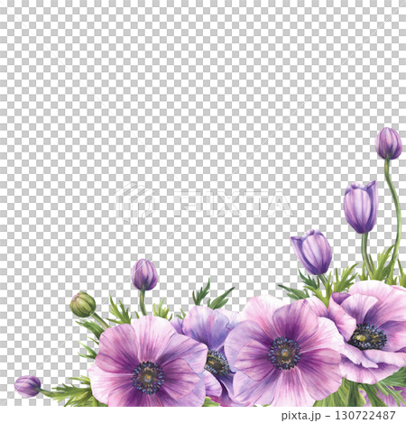 Anemones flowers with purple buds, green, leaves and long stem corner frame. Watercolor Realistic greenery floral template for wedding, greeting card. Hand drawn isolated from background illustration Anemones flowers with purple buds, green, leaves and long stem corner frame. Watercolor Realistic greenery floral template for wedding, greeting card. Hand drawn isolated from background illustration 130722487