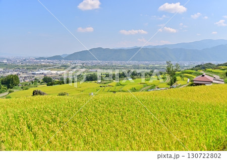 2025年　初秋の姨捨棚田と善光寺平 130722802