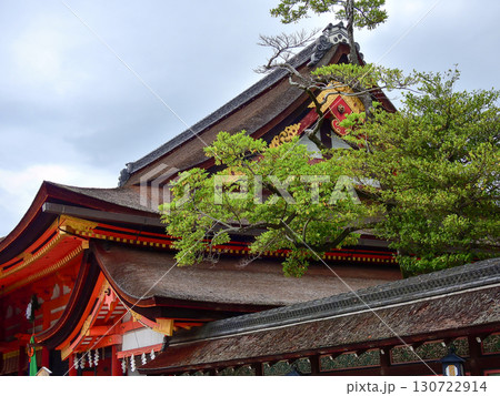 八坂神社　本殿（国宝） 130722914