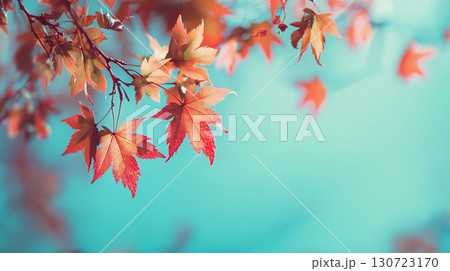 青空を背景に、赤く色づいた紅葉が映える美しい秋の風景。鮮やかな色彩とシンプルな構図が印象的な写真 130723170
