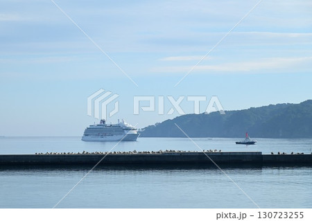 宮古港の朝 遠くに見える飛鳥Ⅲ 130723255