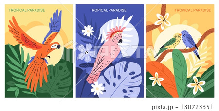 Aloha parrots cards. Tropical birds, colorful plumage, exotic flora, fauna, jungle wildlife, cockatoos, macaws, budgies, print and posters, botanical background, cartoon garish vector set 130723351