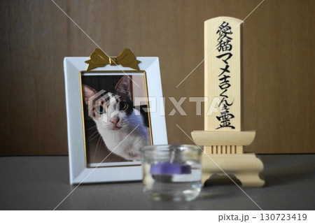 ペットの白木の位牌と手元供養用の供養写真 130723419