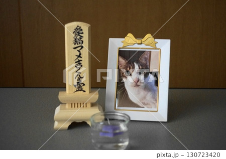 猫の手元供養用の供養写真と白木の位牌 猫の手元供養用の供養写真と白木の位牌 130723420