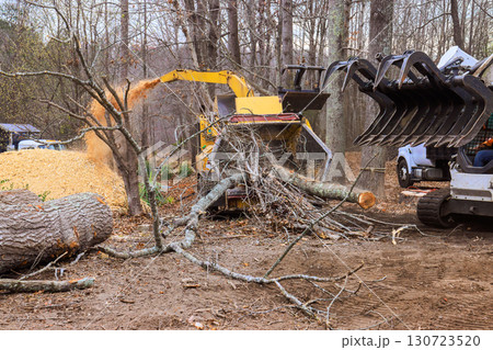 Workers operate machinery to chip branches from trees in forest clearing, preparing area for future use. 130723520