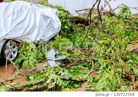 After severe storm, car is covered by fallen branches leaves, highlighting aftermath of thunder strong storm weather event. 130723568