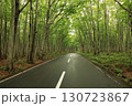 白神山地を走る道路のブナ林 130723867
