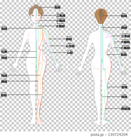 前後からみた12経路 130724204