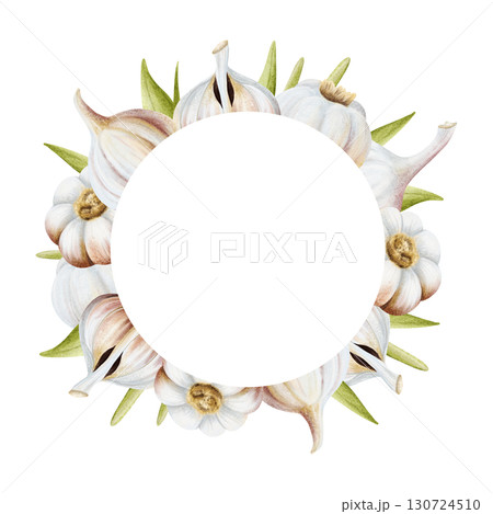 Round Garlic with leaves frame watercolor...のイラスト素材 [130724510] - PIXTA