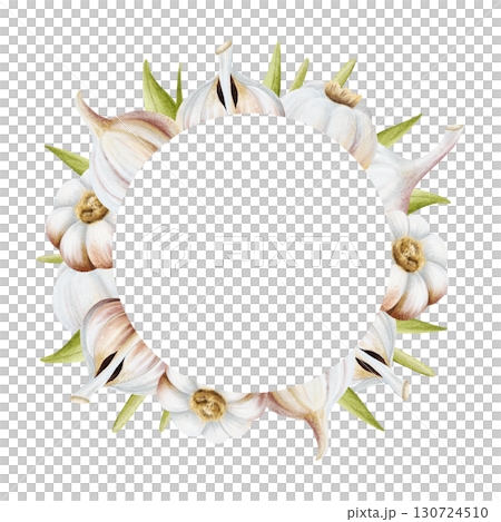 Round Garlic with leaves frame watercolor illustration isolated on white. Hand drawn realistic raw vegetables template with copy space in pastel beige and green colors for food labels and cooking 130724510