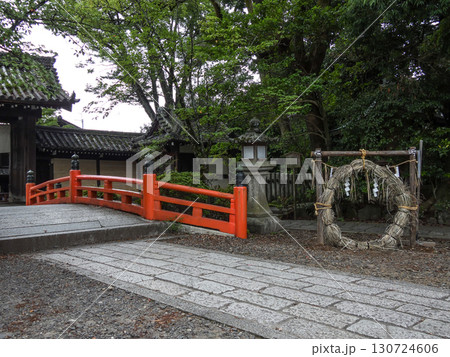 今宮神社　茅之小輪（茅の輪くぐり） 130724606
