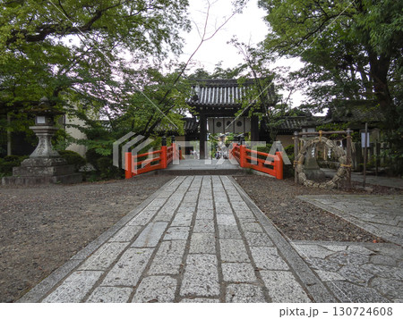 今宮神社　茅之小輪（茅の輪くぐり） 130724608