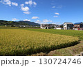 黄金色に実った稲 130724746