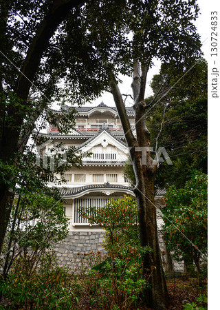 千葉市立郷土博物館(千葉城) 千葉市立郷土博物館(千葉城) 130724833