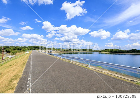 みよし市、三好池の風景 130725309