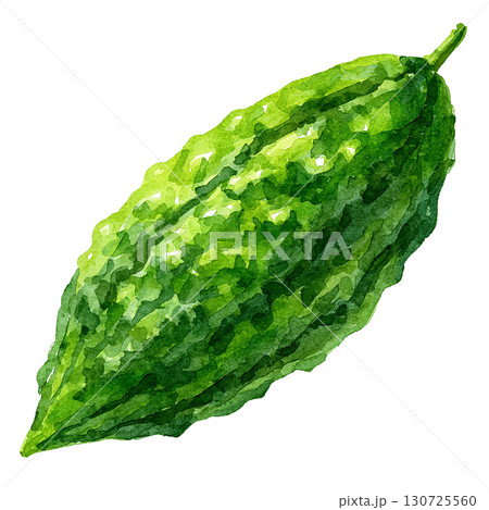 水彩風のゴーヤイラスト 夏野菜素材 PNG切り抜き 水彩風のゴーヤイラスト 夏野菜素材 PNG切り抜き 130725560