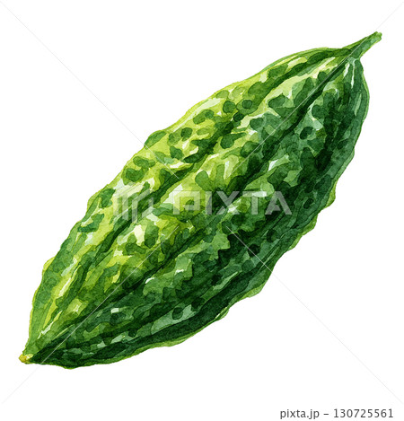 水彩風のゴーヤイラスト　夏野菜素材　PNG切り抜き 130725561