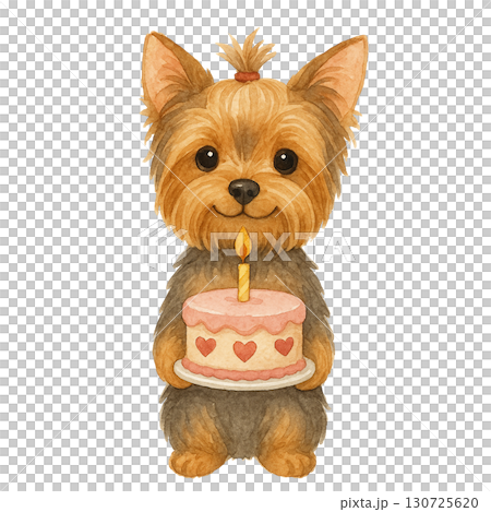 A cute Yorkshire Terrier holding a birthday cake with a candle. A cute Yorkshire Terrier holding a birthday cake with a candle. 130725620