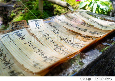 Water-soaked omikuji at Mitaki-Dera temple in Hiroshima, Japan Water-soaked omikuji at Mitaki-Dera temple in Hiroshima, Japan 130725665