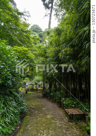 Bamboo forest path at Jochi-ji Temple in Kamakura, Japan Bamboo forest path at Jochi-ji Temple in Kamakura, Japan 130725671