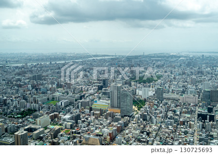 Aerial view of central Tokyo cityscape in Japan Aerial view of central Tokyo cityscape in Japan 130725693