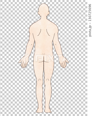 Anatomical upright male back watercolor style Anatomical upright male back watercolor style 130725696