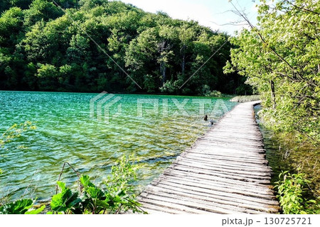 世界遺産の美しい散歩道 130725721