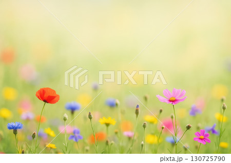 Vibrant wildflowers in soft focus minimal spring background with colorful blossoms and gentle sunlight, creating peaceful and cheerful atmosphere in natural meadow 130725790