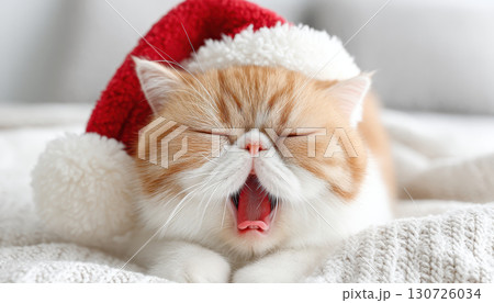 Exotic Shorthair cat yawning happily with closed eyes, wearing red and white Santa hat, lying on cozy knitted blanket in bright indoor setting, festive and relaxed mood 130726034