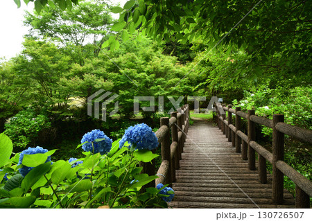 大滝川森林公園 【和歌山県日高郡日高川町】 大滝川森林公園 【和歌山県日高郡日高川町】 130726507