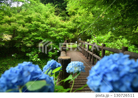 大滝川森林公園 【和歌山県日高郡日高川町】 大滝川森林公園 【和歌山県日高郡日高川町】 130726511