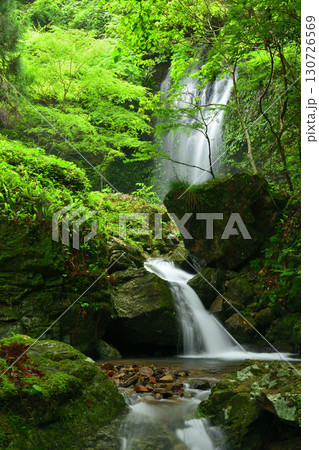 涼みの滝(大滝川森林公園)　【和歌山県日高郡日高川町】 130726569