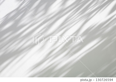 Abstract natural tree leaves shadow on white wall background 130726594