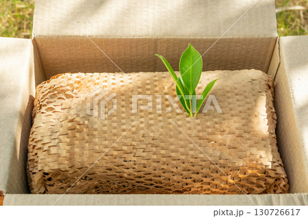 Green leaf on eco friendly brown paper honeycomb wrap for product packaging parcel carton box Green leaf on eco friendly brown paper honeycomb wrap for product packaging parcel carton box 130726617