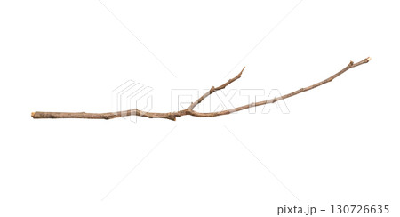 Dry tree branches isolated on white background Dry tree branches isolated on white background 130726635