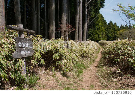 中葛城山(山頂) 【大阪府千早赤阪村・奈良県五條市】 中葛城山(山頂) 【大阪府千早赤阪村・奈良県五條市】 130726910