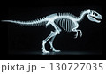 恐竜の化石、骨、骨格、レントゲン写真、モノクロ 130727035