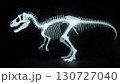 恐竜の化石、骨、骨格、レントゲン写真、モノクロ 130727040