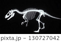 恐竜の化石、骨、骨格、レントゲン写真、モノクロ 130727042