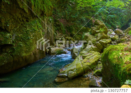 夏の山梨県山梨市 西沢渓谷の奇岩(カエル岩) 130727757